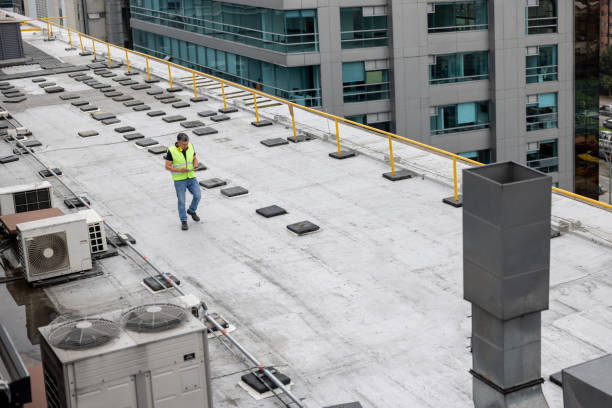 Best Roof Maintenance and Cleaning  in New Whiteland, IN